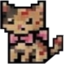 Misa the cat